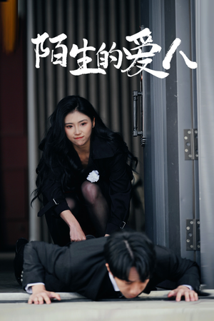陌生的爱人（60集）短剧免费在线看全集