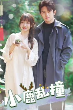 小鹿乱撞（40集）短剧合集蓝光画质