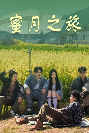 蜜月之旅（35集）无需下载在线短剧免费看