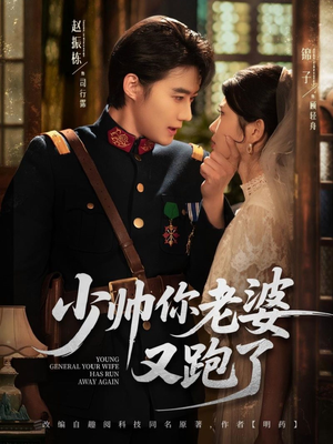 少帅你老婆又跑了（82集）哪个网站可以看短剧