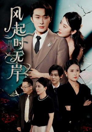 风起时无岸（58集）短剧大结局一气呵成