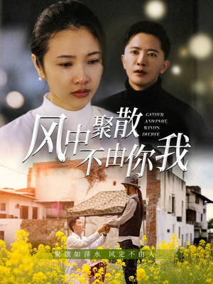 风中聚散不由你我（41集）海量资源短剧免费看