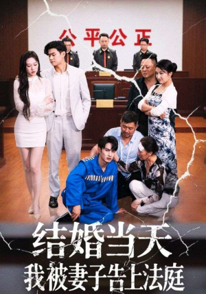 结婚当天我被妻子告上法庭（30集）终于迎来免费看短剧的福利