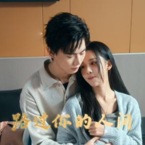 路过你的人间（31集）全网最全短剧资源免费看