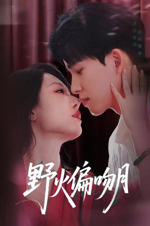 野火偏吻月（51集）好看短剧抢先看