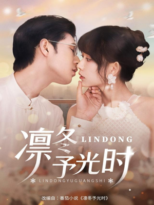 凛冬予光时（60集）短剧追到爽热门短剧抢先看