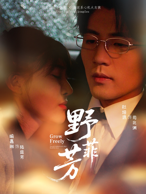 野芳菲（60集）短剧免费看全集恋爱短剧