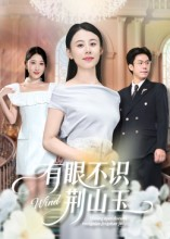 有眼不识荆山玉（58集）无需注册短剧在线免费看