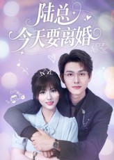 陆总今天要离婚（81集）短剧大结局限免特辑