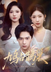 鸠占鹊巢（70集）短剧全集大结局完整版