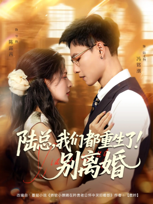 陆总我们都重生了别离婚（79集）短剧简直不要太好看