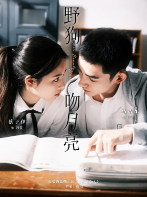 野狗吻月亮（68集）精彩短剧每天更新