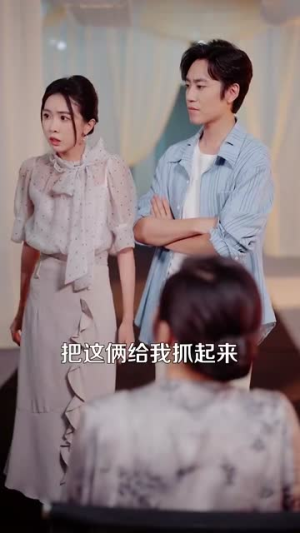 当我决定凭实力单身（76集）短剧热播好剧抢先看