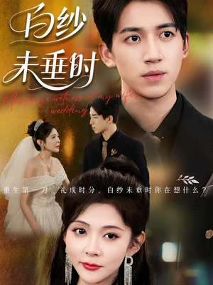 老婆婚礼，我当证婚人（54集）火爆短剧精彩片段