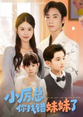 小厉总你找错妹妹了（52集）短剧全集大结局
