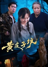 黄皮子坟（35集）短剧高清画质免费体验