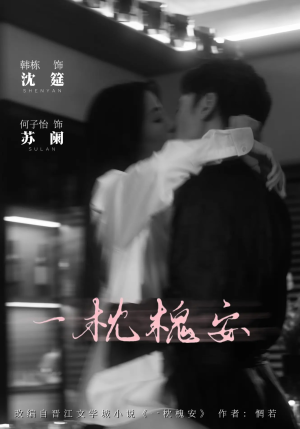 一枕槐安（80集）短剧在哪个平台