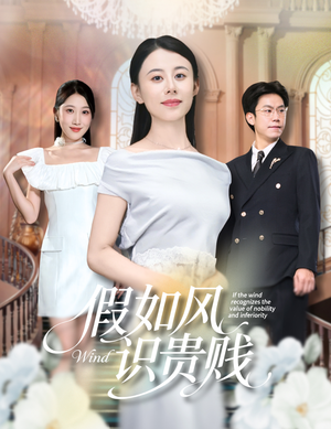 假如风识贵贱（58集）免费短剧在线观看