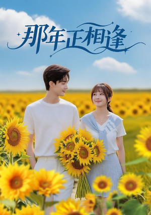 那年正相逢（60集）短剧宝藏全集限免看