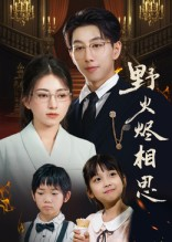 野火烬相思（61集）这部短剧让人爱不释手