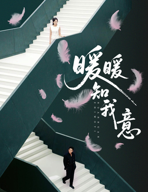 暖暖知我意（61集）火爆短剧正在热播