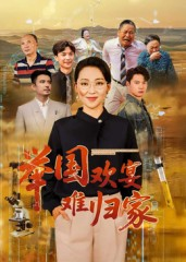 举国欢宴难归家（40集）经典短剧重温旧梦