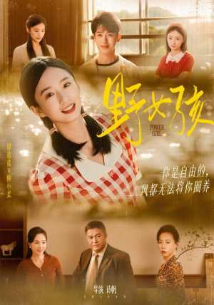 野女孩（91集）爆款短剧热门推荐