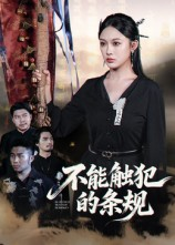 不能触犯的条规（50集）每天分享好看精彩片段