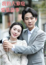 我的大家庭爱情故事（15集）热门短剧电影推荐