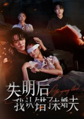 失明后我认错了未婚夫（34集）热门短剧持续更新