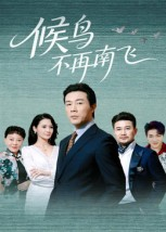候鸟不再南飞（80集）爆火短剧追不停