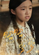 昭昭岁岁（30集）每天热门短剧推荐