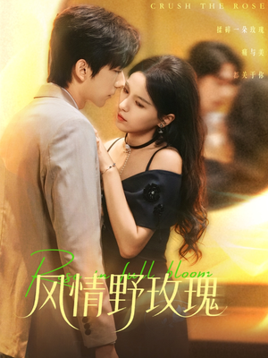 风情野玫瑰（70集）短剧在哪个平台看好