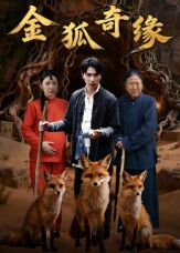 金狐奇缘(42集) 金狐奇缘(42集)最火的网络小短剧