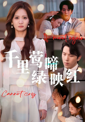 千里莺啼绿映红（63集）免费的短剧资源大全