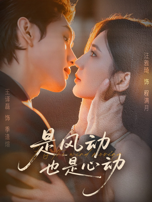 是风动也是心动（60集）热门短剧免费观看