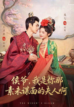 侯爷我是你那素未谋面的夫人啊（80集）热门短剧好看又上头