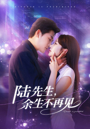陆先生，余生不再见（88集）一口气追短剧至大结局