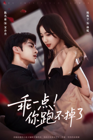 乖一点！你跑不掉了（85集）海量资源短剧免费看