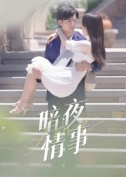 暗夜情事（100集）短剧越看越精彩