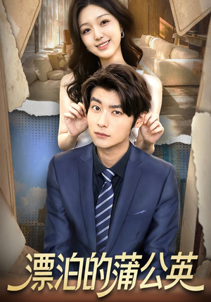 漂泊的蒲公英（60集）热门短剧推荐短剧片段