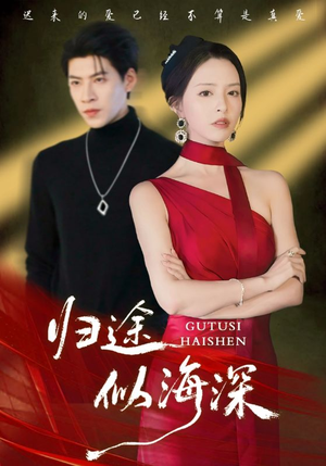 归途似海深（61集）好看又上头的红果短剧