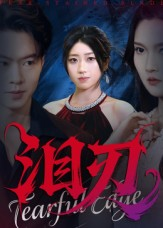 泪刃（40集）热门短剧推荐精彩片段