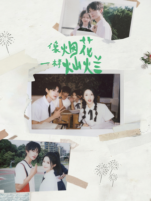 像烟花一样灿烂（60集）好看的短剧电视剧