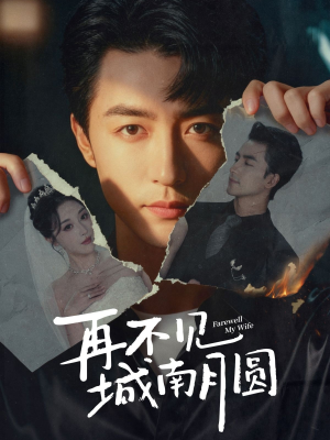 再不见城南月圆（60集）精彩短剧热播中点击下方看全集
