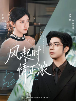 风起时情正浓（79集）短剧精选全集无广告
