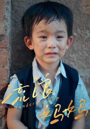 流浪妈妈（30集）免费短剧在线看全集