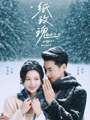 纸玫瑰第二部（80集）短剧合集导演剪辑版