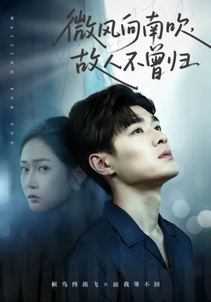 微风向南吹，故人不曾归（72集）免费观看最新短剧全集