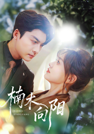 楠木向阳（70集）热门短剧免费看全集